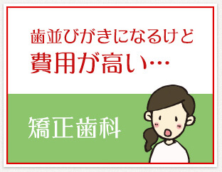 歯並びがきになるけど
                    費用が高い…
                    矯正歯科